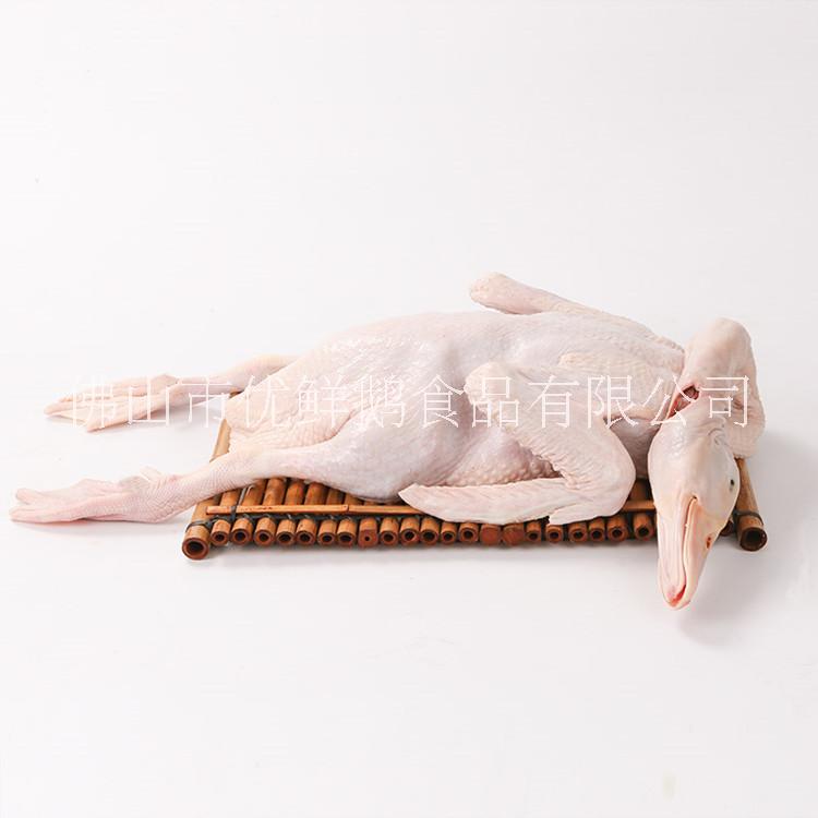 白条鸭4-7斤批发  新鲜白条鸭批发   烤鸭原材料