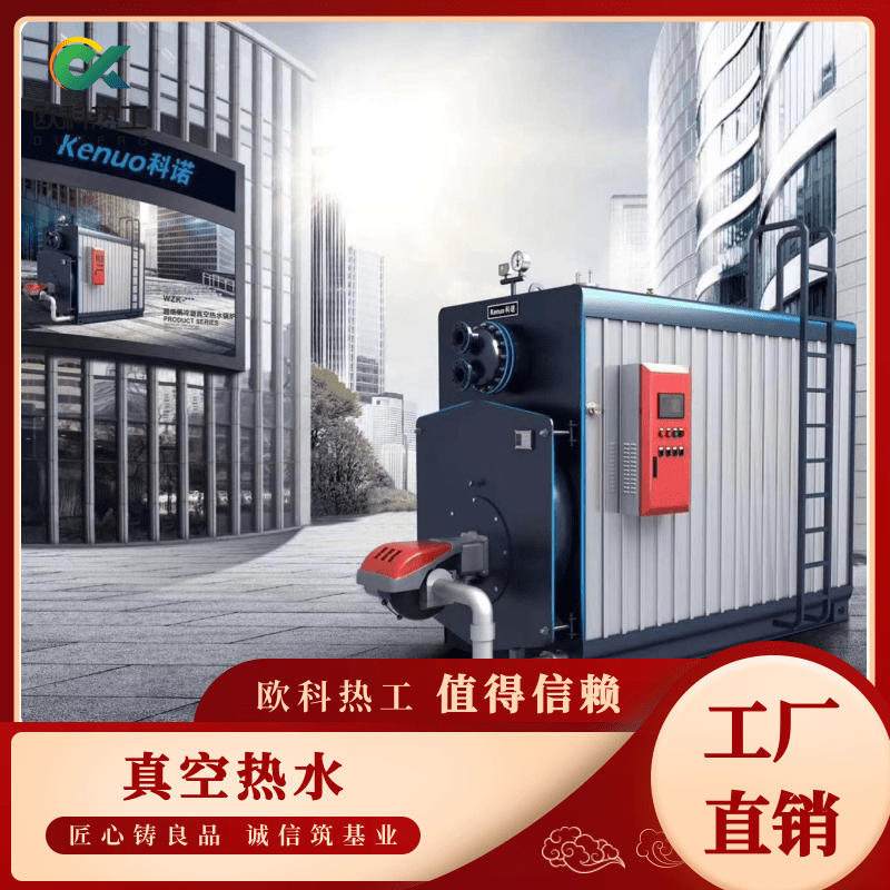 上海真空锅炉定制、工厂直营、销售、哪家好【扬州欧科热工科技有限公司】图片