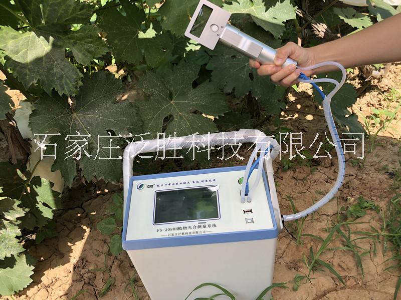 FS-3080H植物光合测量系统图片