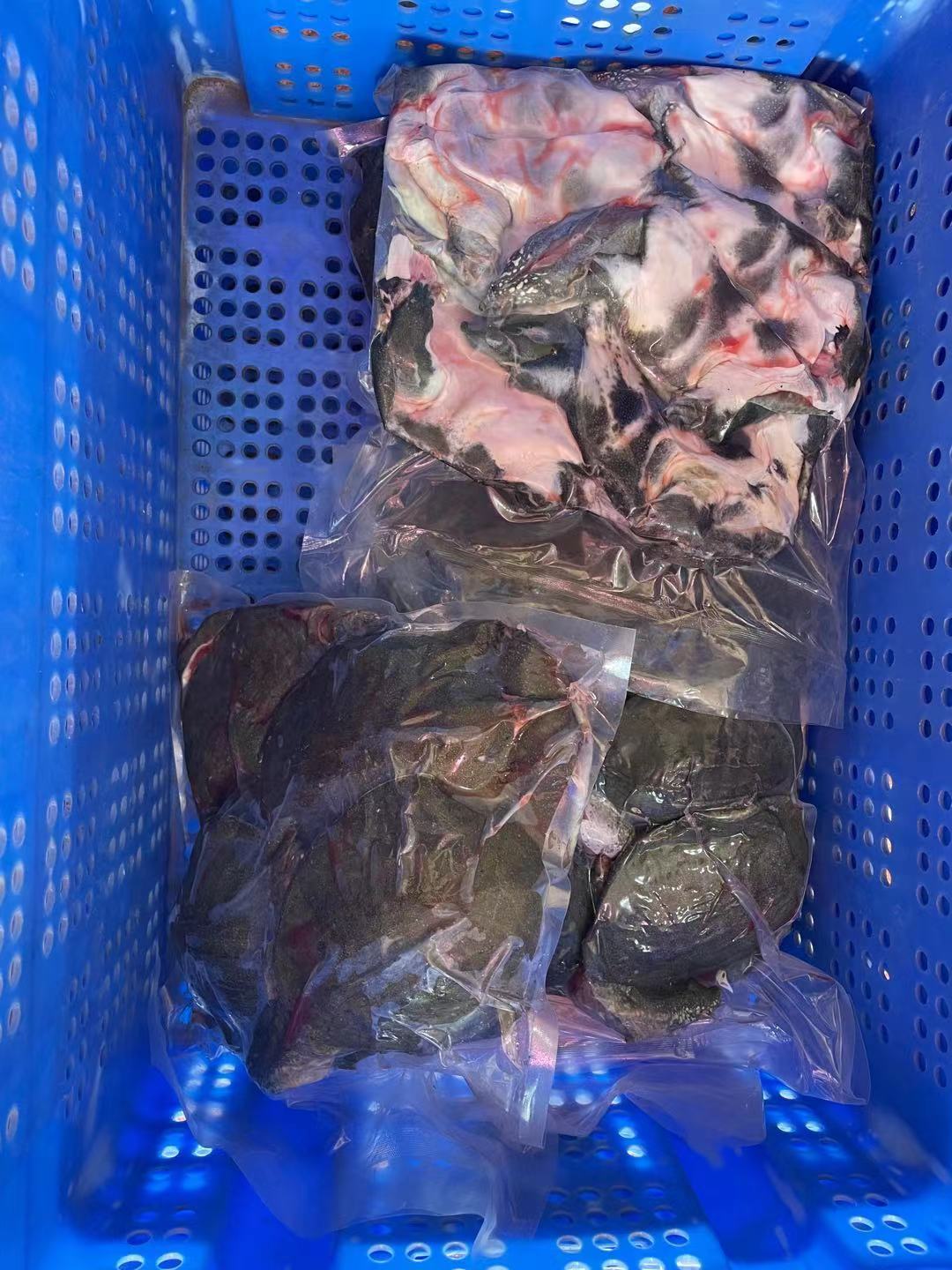 供应网红卤甲鱼现货批发价格多少钱一只、网红卤甲鱼哪家好图片