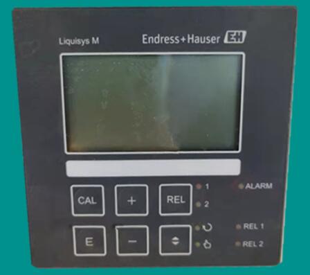 DO测量仪e+h溶解氧变送器维修COM253图片
