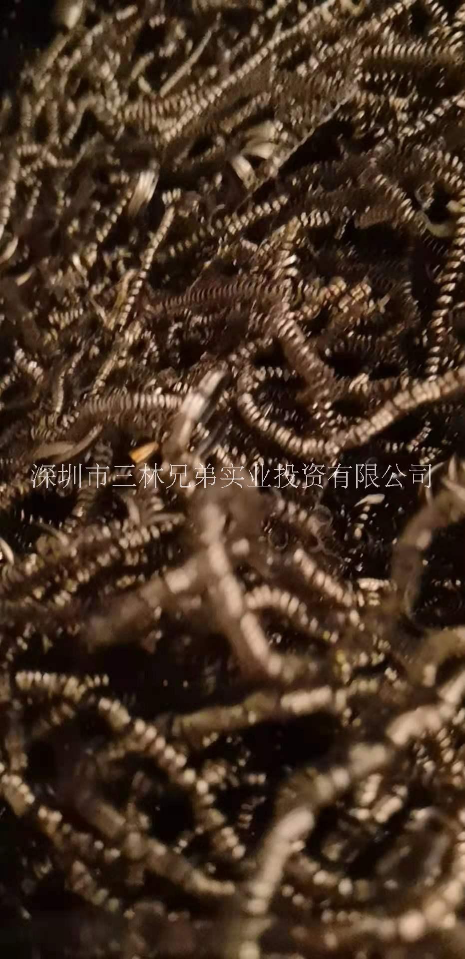 广东深圳铍青铜回收公司电话多少 现金结款