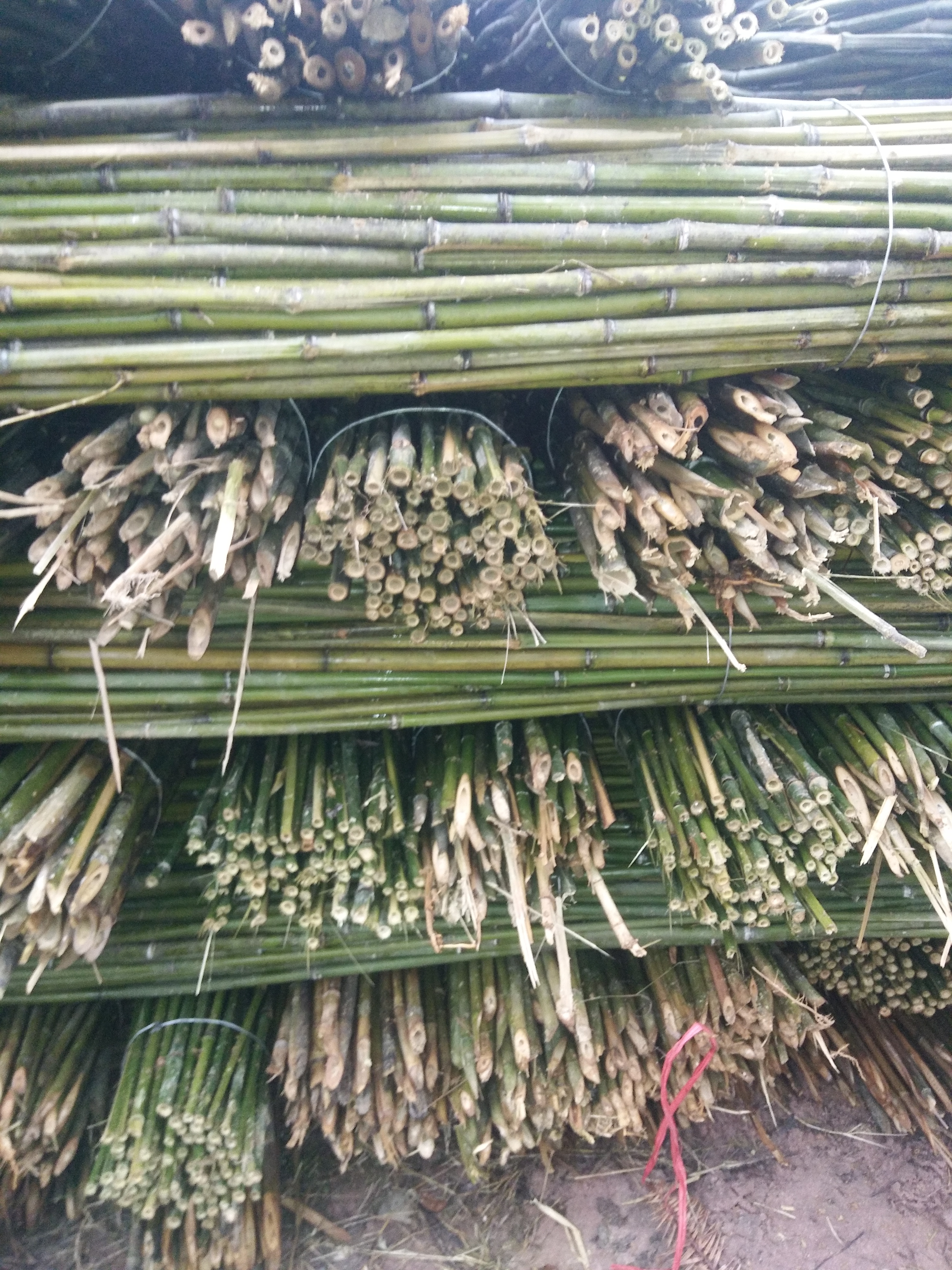 种菜竹架牵引架攀爬细竹竿家用2.5米竹材架豆角架杆装修小竹子2米图片