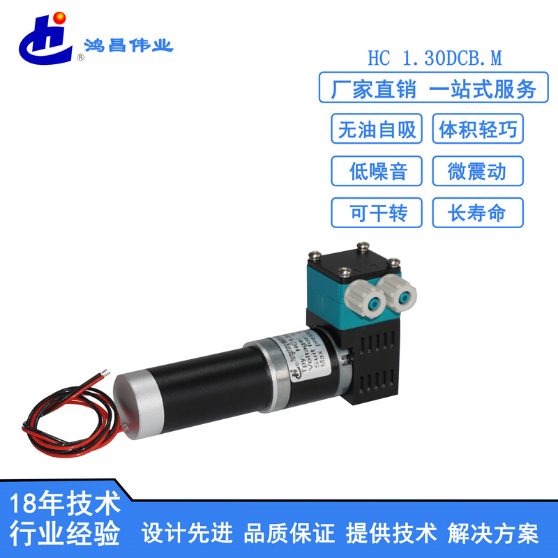 HC 1.30DCB.M微型液泵批发