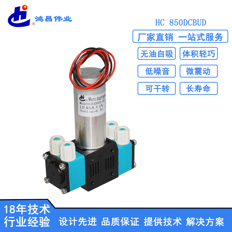 HC 850DCBUD微型液泵批发