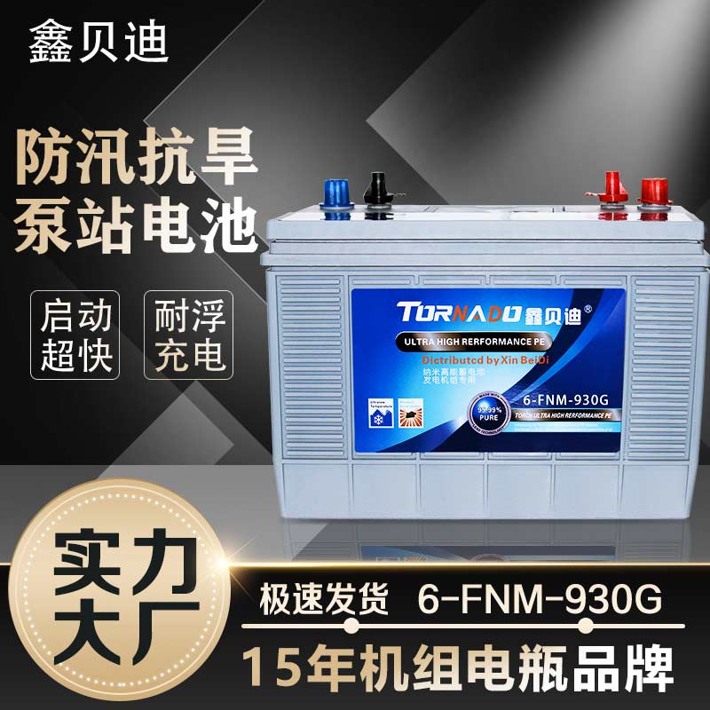 鑫贝发电机组蓄电池6-FNM-930G