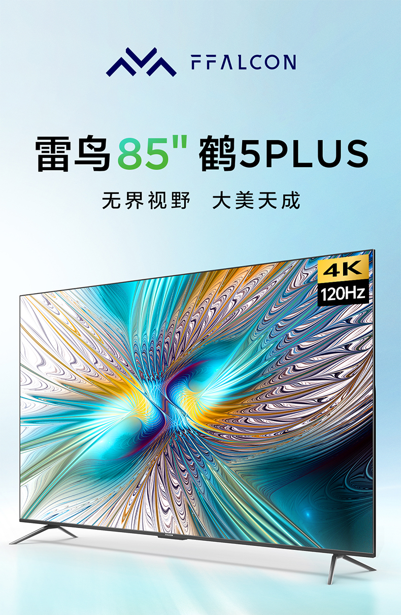 雷鸟 鹤5Plus 85英寸4K  液晶电视  节能图片