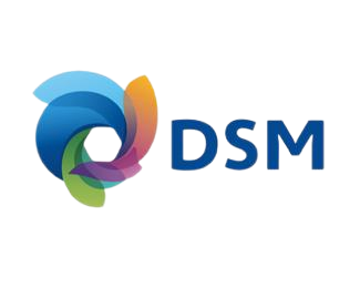 荷兰DSM(中国上海)授权一级总代理商图片