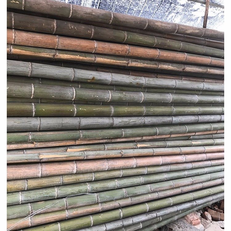 8米毛竹 8米大毛竹楠竹 3米长的毛竹 绿化园林毛竹稍 工程用撑树竹杆子