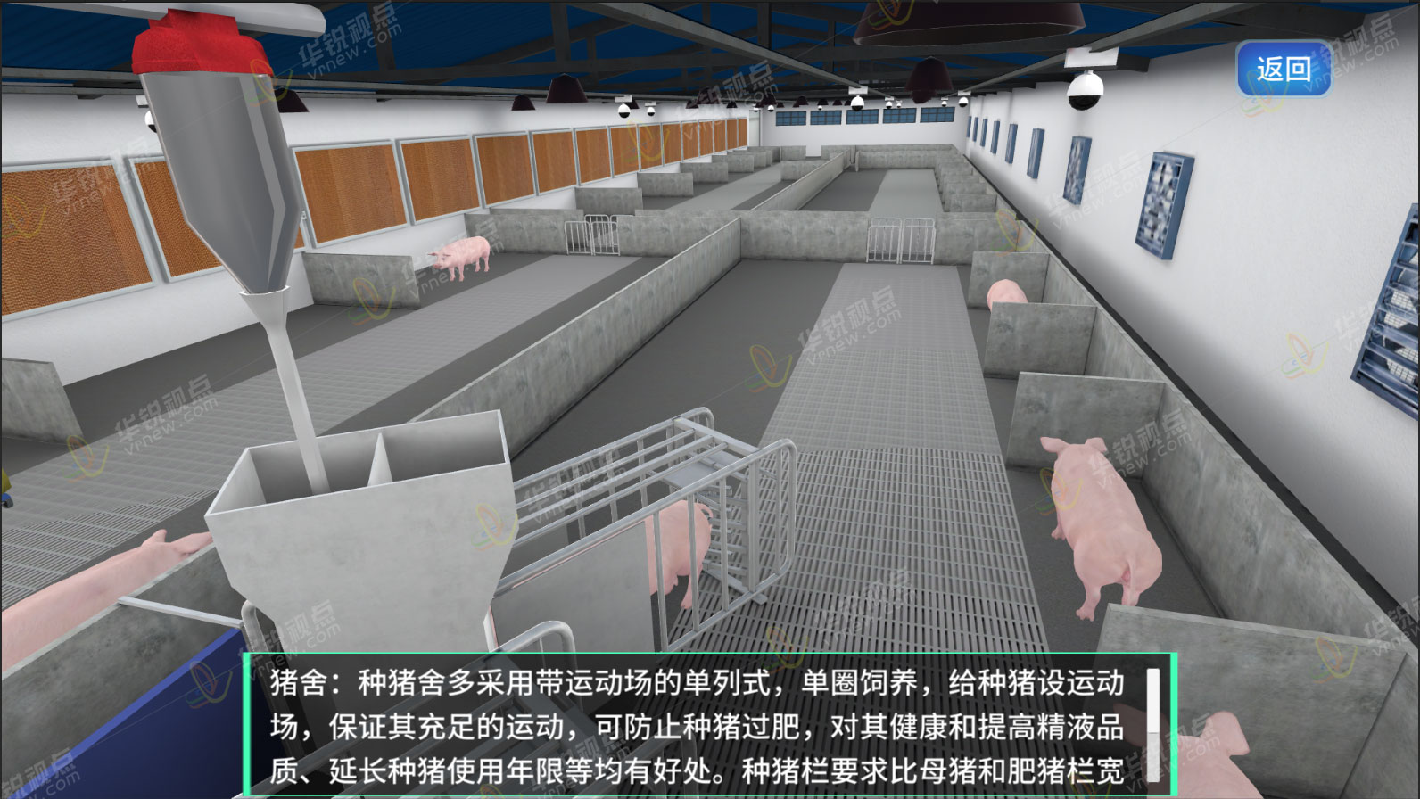 猪养殖VR情境教学软件_畜禽养殖虚拟仿真_vr内容厂商_广州华锐互动