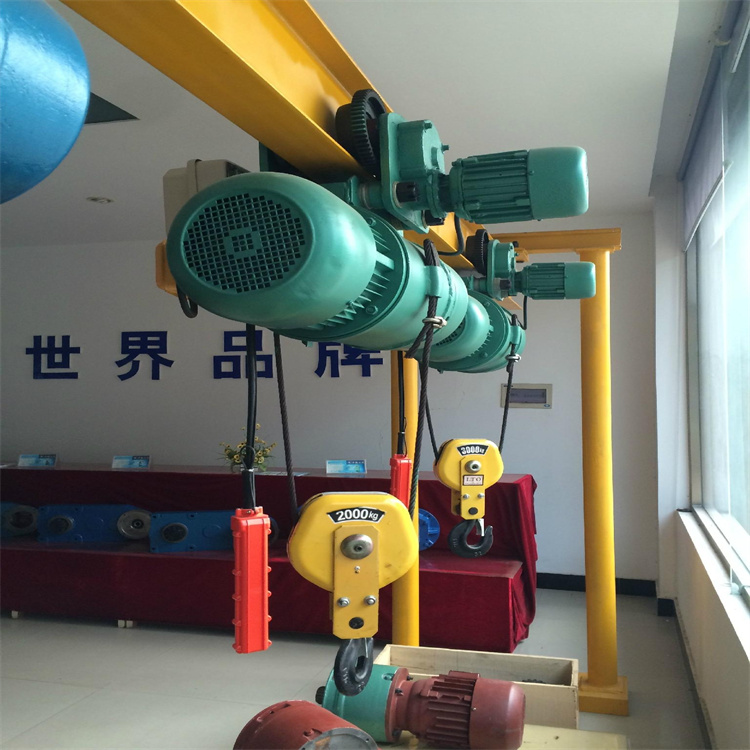 广州双速电动葫芦厂家 电动葫芦 工业提升单双速 钢丝绳型起重机械图片