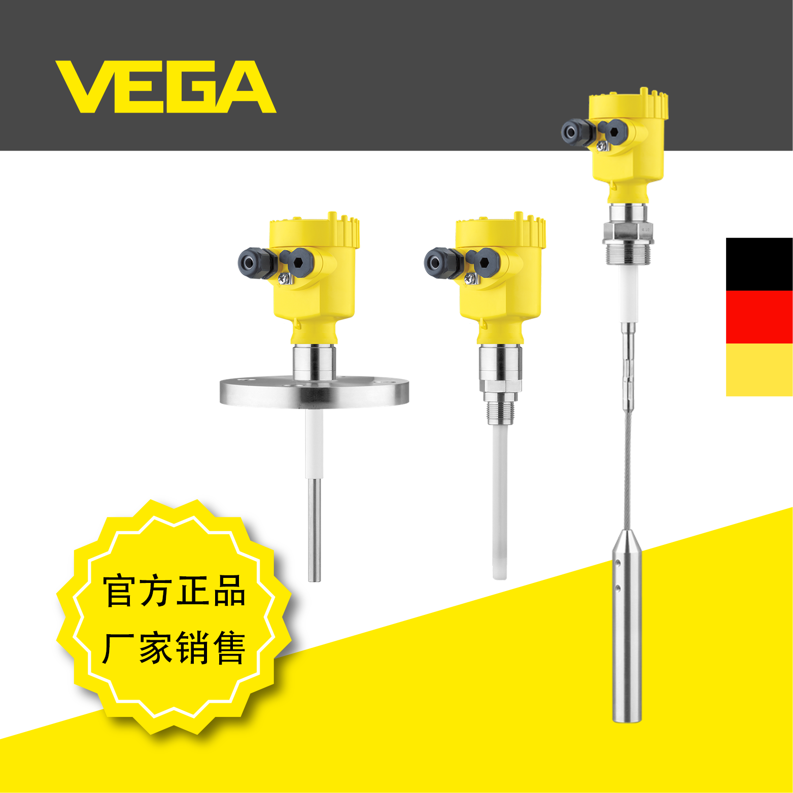 威格VEGACAL 62/63/65电容式物位计 德国进口 半绝缘 全绝缘 电缆式电容物位计 固料 液体测量