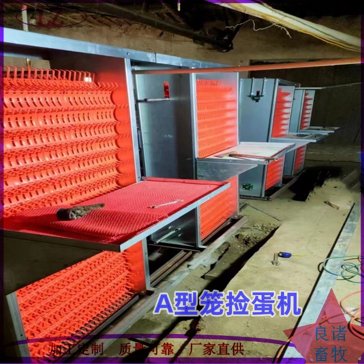 自动蛋养殖 行车喂料机 H型四层蛋鸡养殖设备自动化设备批发